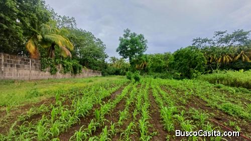 Terreno en Venta en Carretera a Masaya ID 15172