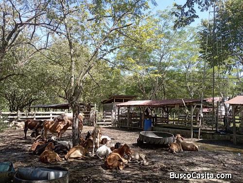 Venta de Finca en Acoyapa Chontales