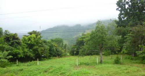 Lindo lote Palmar Norte OSA excelente plusvalía