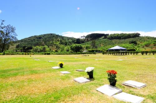 Boveda - Nicho en Cementerio La  Piedad Desamparados