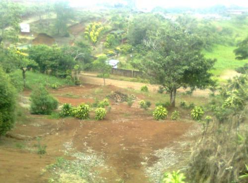 Se Vende Lotes en San Ramon de  Alajuela