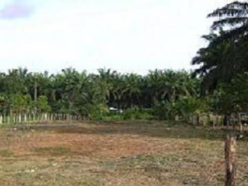 1800 MTS2 A 15 MINUTOS DE TODAS LAS PLAYAS DEL PACIFICO CENTRAL.25 MINUTOS DESPUES DE JACO O 25 MINUTOS ANTE DE QUEPOS