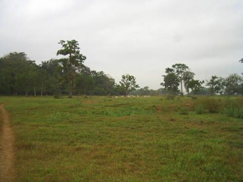 VENDO HERMOSA HACIENDA EN SAN CARLOS COSTA RICA
