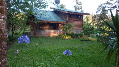 Cabañas de Montaña Grupo ardillas