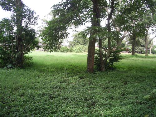 Lote por la Cruz Roja de Santa Ana. $780.000