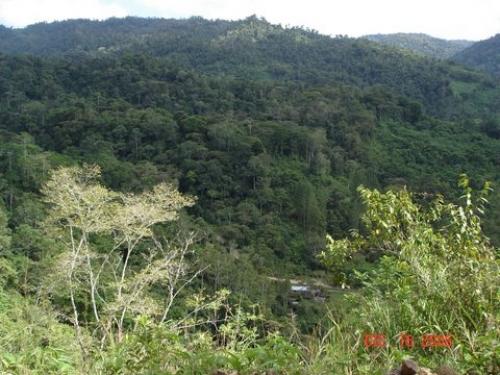 342.5 Hects. Farm in the Upper Part of the Banks of the Rio Pacure, TURRIALBA, CARTAGO $550.000