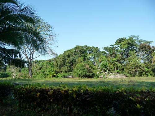 ALL FOR ONLY $50,000. THIS IS WORTH A TRIP TO CHECK THE PROPERTY, GOLFITO PUNTARENAS.