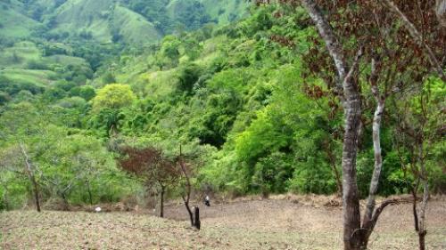 Real Bargain/$80.000/Pozos de Puriscal/San José