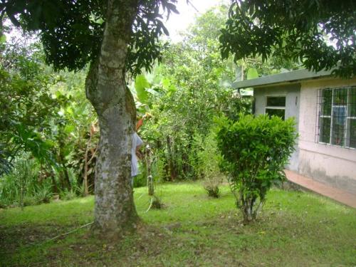 Propiedad  en Tabarcia de Mora/¢120.000.000.00