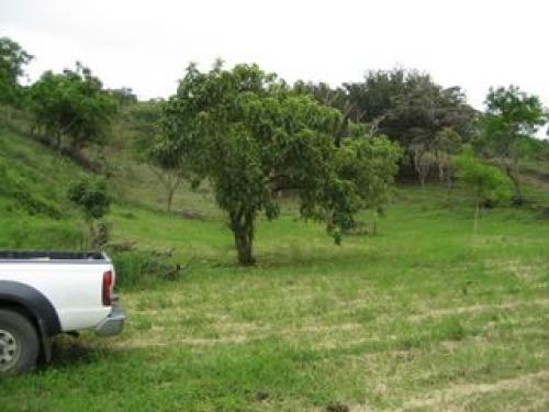 Lot number 8/Ciudad Colón. Mora  $120000
