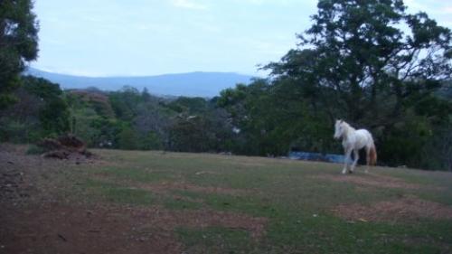 Se vende lote en Ciudad Colón $562,500/San José