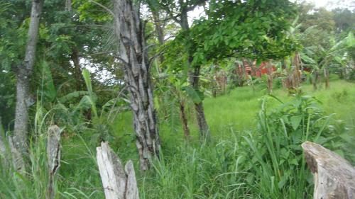 Great Location for Lot with a High Density and commercial Use of Floor/Ciudad Coló$560.000