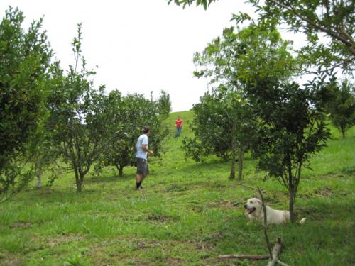 FOR LESS THAN $10 P/MT2. WE FINANCE, LONG TERM, VERY LOW RATES/Montes Altos/Ciudad Colón