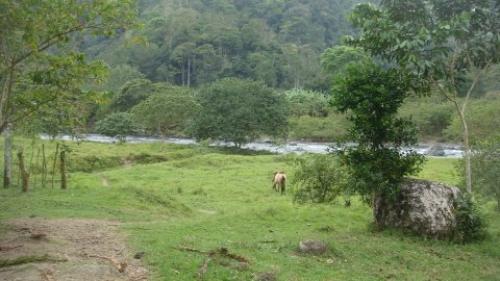 FINCA EN PASO MARCOS DE TURRIALBA $550.000