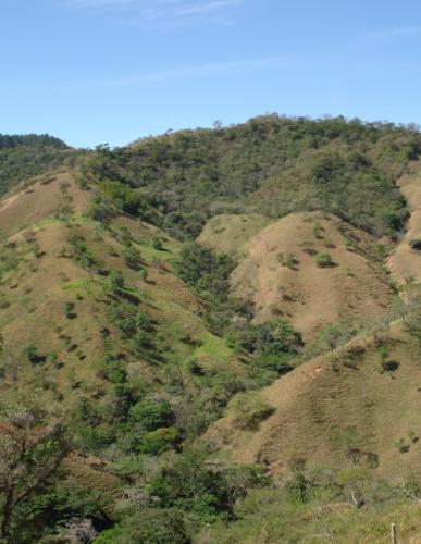 Farm in Quitirrisí Ciudad Colón $260.000