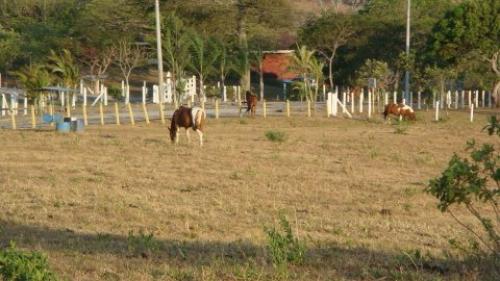 Lote en venta en Ciudad Colón $1.409,600/San José