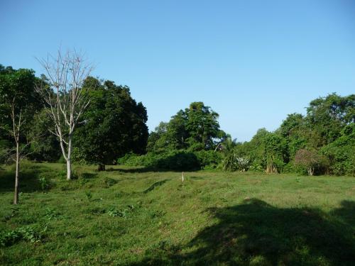 $125000 FOR 50 ACRES WATER FRONTAGE, GOLFITO, PUNTARENAS, COSTA RICA