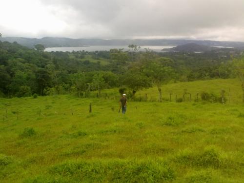 Terreno fertil, barato y bien lindo en arenal guanacaste urge venta de parcela muy cerca del volcan y lago arenal 10 minutos