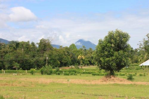 Vendo lote en San Carlos PAGUE 133 mil por y es suyo