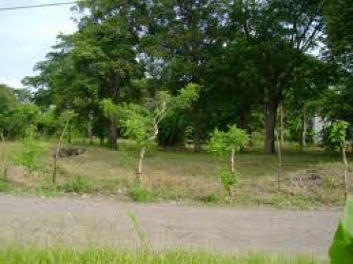 Vendo lote entre El Roble y Chacarita