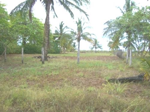 Lote para construer frente al mar