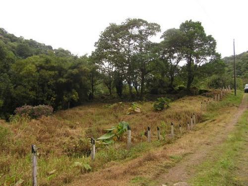 Lote precioso en Cascajal de Coronado.