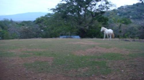 Se vende lote en Ciudad Colón $562,500/San José