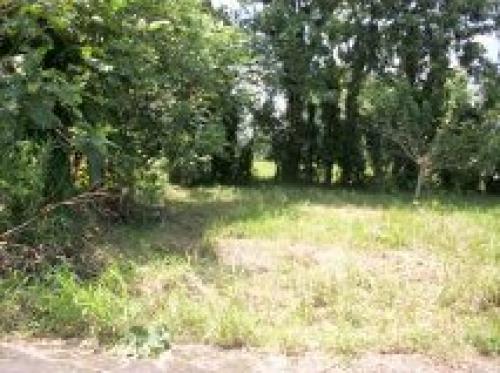 vendo lote en  Rio Jimenez de Guacimo