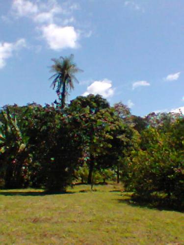Quinta barata en Turrubares