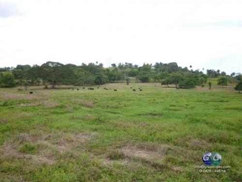 SE VENDE FINCA GANADERA EN LAS JUNTAS DE ABANGARES