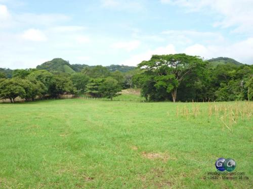 SE VENDE FINCA EN MANSION, NICOYA, GUANACASTE.