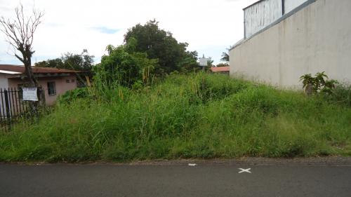 Lindo lote en san juaquin de flores