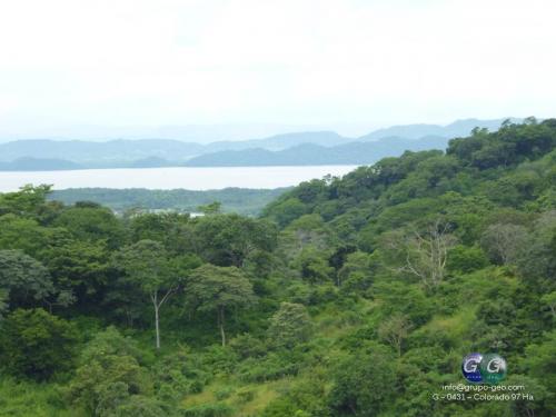 SE VENDE FINCA EN COLORADO, ABANGARES.