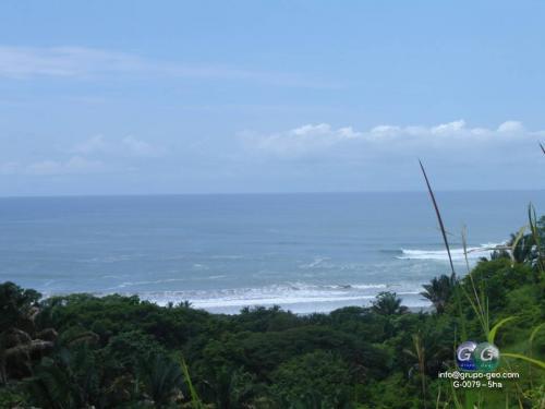 SE VENDE FINCA EN BUENA VISTA, SAMARA.