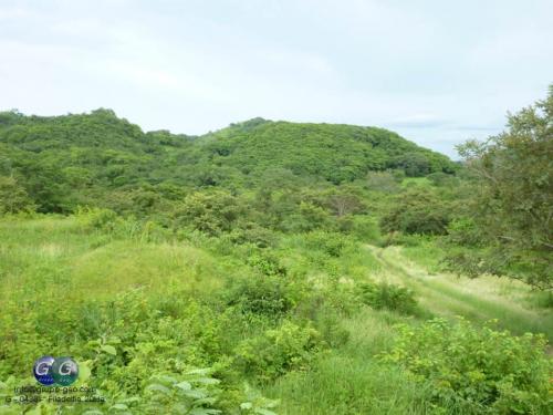 SE VENDE FINCA EN BELEN, FILADELFIA.