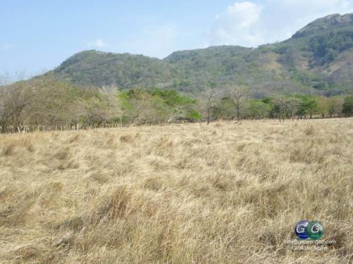 SE VENDE FINCA EN CABALLITO, NICOYA, GUANACASTE.