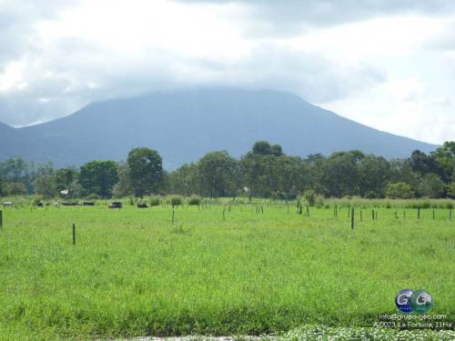 SE VENDE FINCA EN LA FORTUNA, SAN CARLOS.
