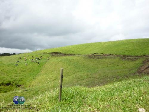 SE VENDE FINCA EN QUEBRADA GRANDE, TILARAN.