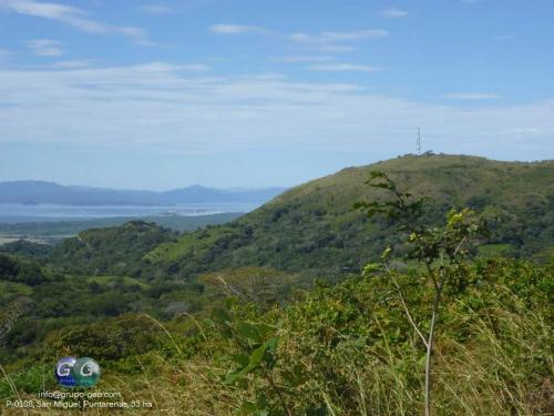 SE VENDE FINCA EN SAN MIGUEL, BARRANCA, PUNTARENAS.