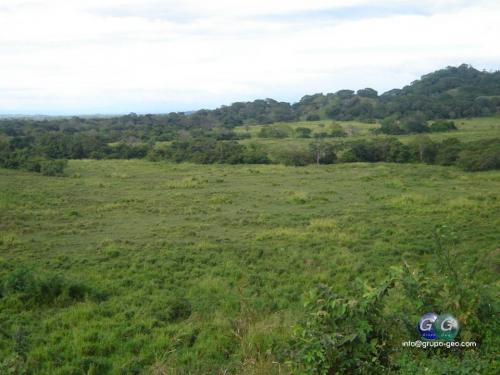 SE VENDE FINCA EN COLORADO, ABANGARES.