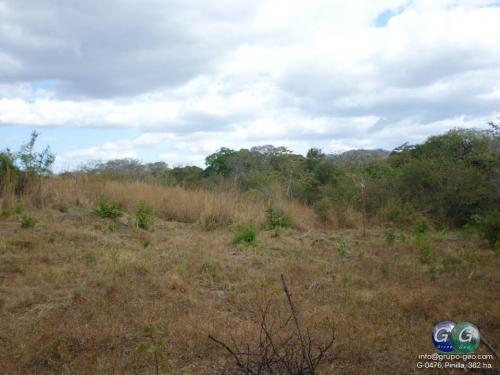 SE VENDE FINCA EN PINILLA, SANTA CRUZ, GUANACASTE.