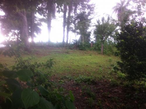 FINCA PUNTARENAS, ESPARZA, ANGOSTURA, CORINTO. 