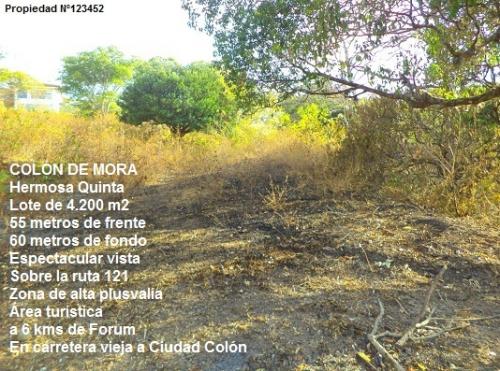 $.1.000.000. Lote 4.200 m2 en Mora de Colon