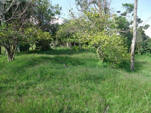 MC-Lote 405m2 frente de la iglesia