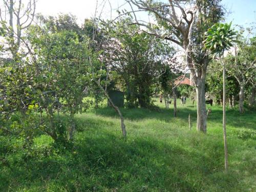 MC-2 Lotes (140 y 265m2) frente iglesia Los Ángeles, San Rafael