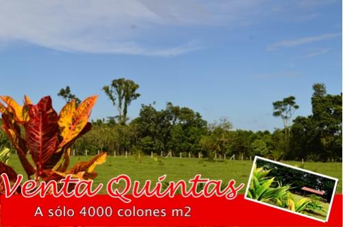Excelente Propiedad de Oportunidad 5000m2