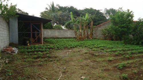 Precioso lote en alajuela