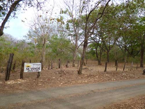 FINCA 6 HECT x CHIRCO, Santa Cruz (NHP-00425)