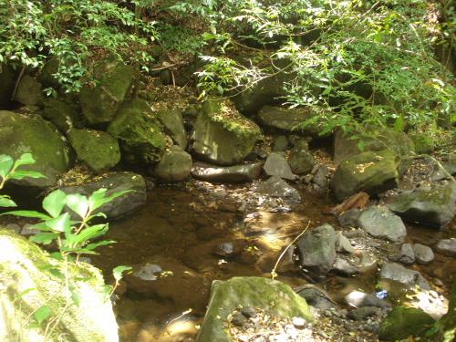 Bella quinta en San Rafael de Heredia