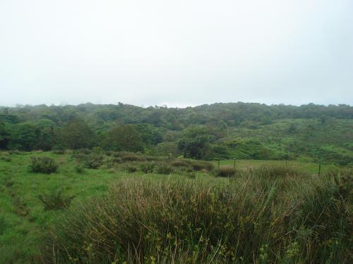 Bello lote 7872 metros en CORONADO